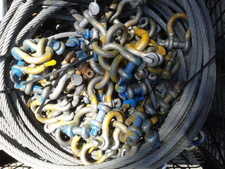 נאמני בטיחות